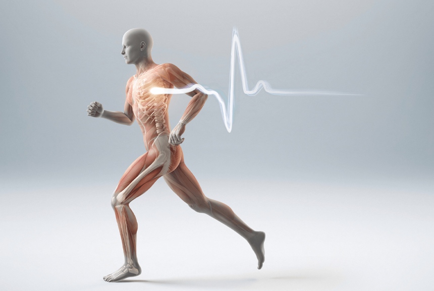 Introduction to the Human Body