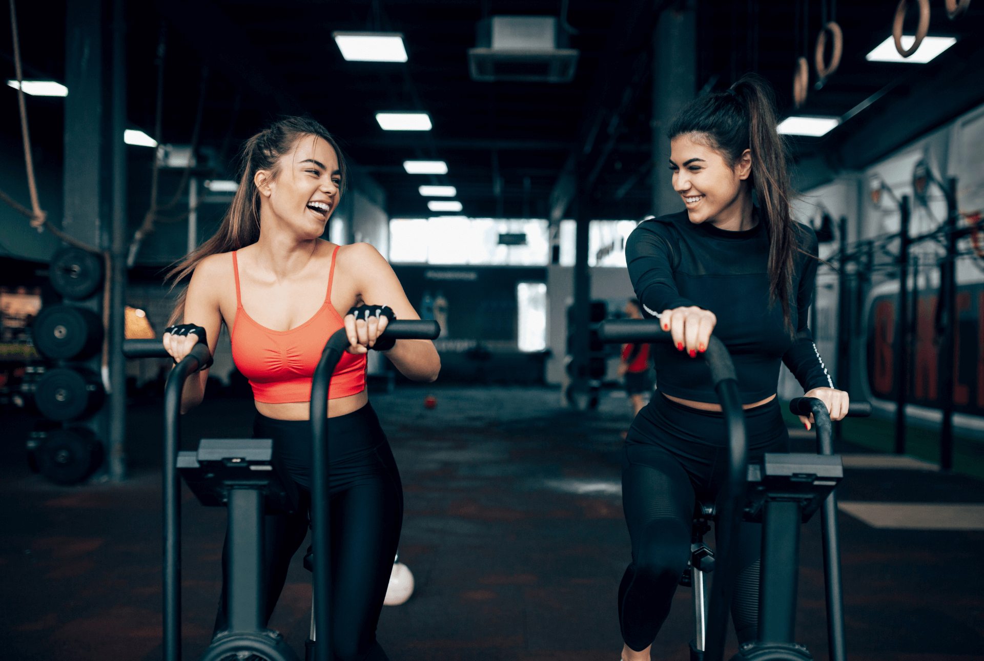 Fitness Mastery Series: Ultimate Women’s Training Toolbox