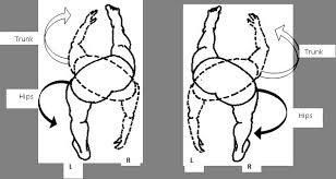 Image result for trunk rotation running